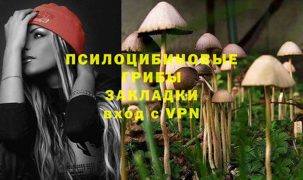 бошки Алексеевка