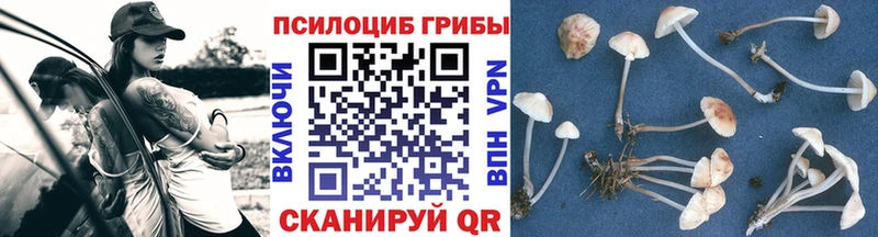 Галлюциногенные грибы Magic Shrooms  KRAKEN онион  Омутнинск 